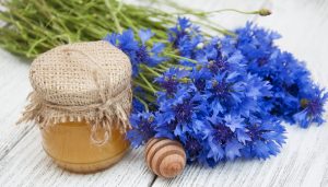 Cornflower Honey