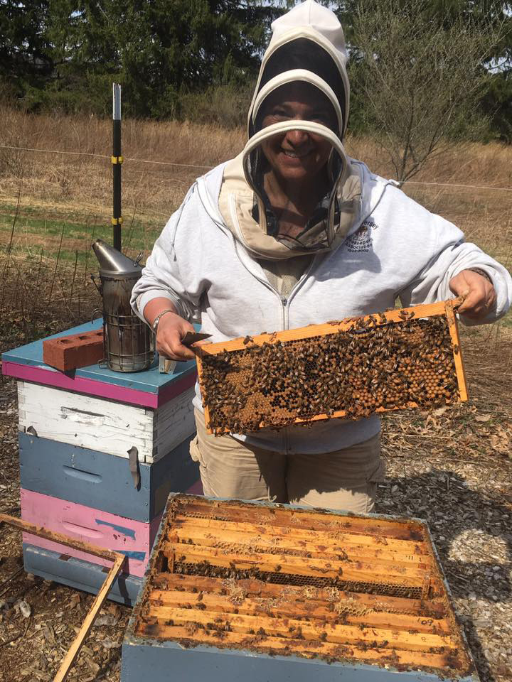 New Jersey Honey - Brood Inspection Gooserock Farm