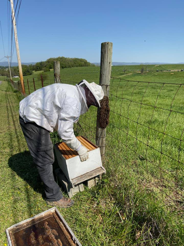 Virginia honey - Hott Apiary