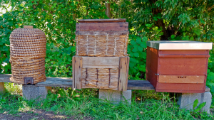 Types-of-Beehives